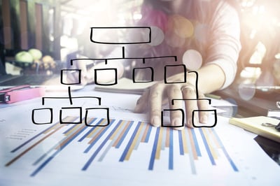 Sales Organization.jpg