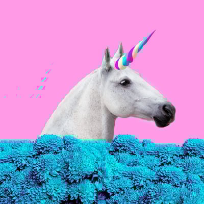 Unicorn Marketing