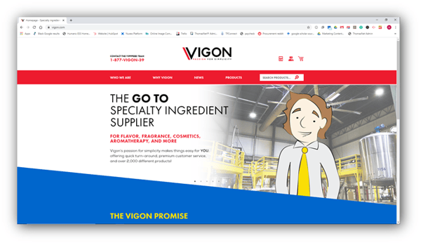 Vigon International