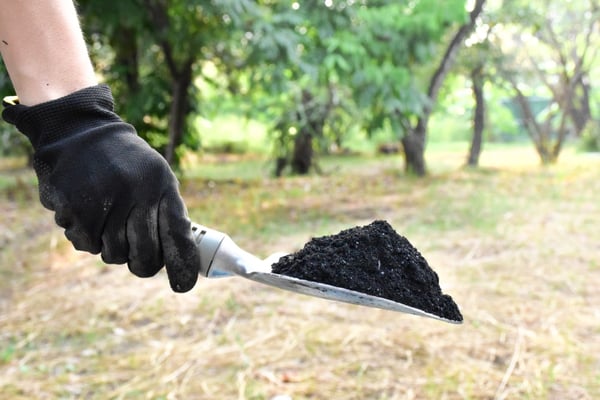 Biochar