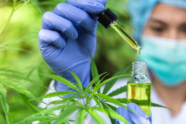 CBD Formulations