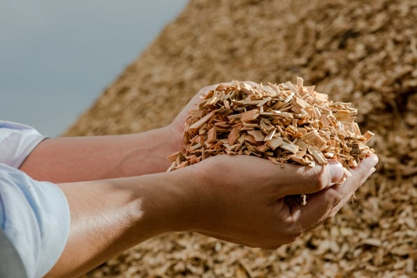 Biomass Fuels