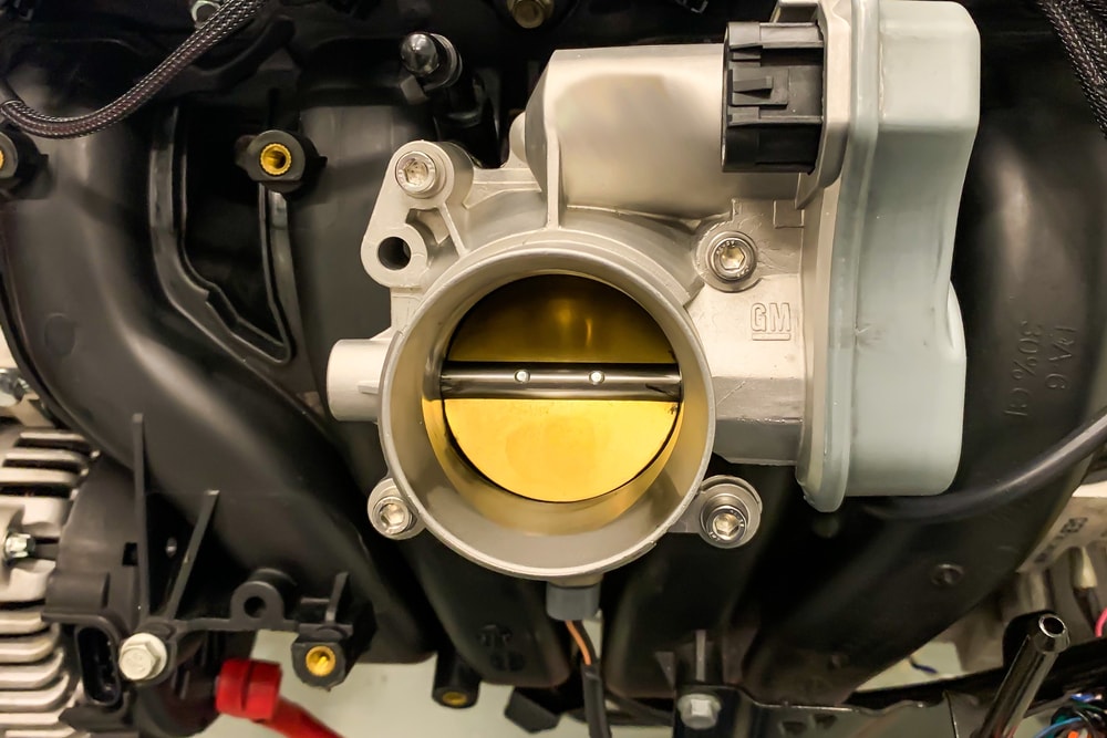 Throttle Body Assembly