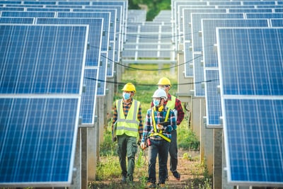Solar energy equipment farm - opportunities for manufacturers