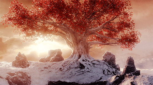Weirwood tree of the children of the forest