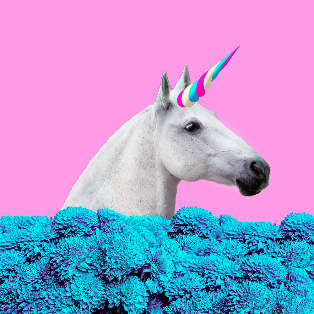 Does Your Industrial Content Marketing Need A Unicorn?