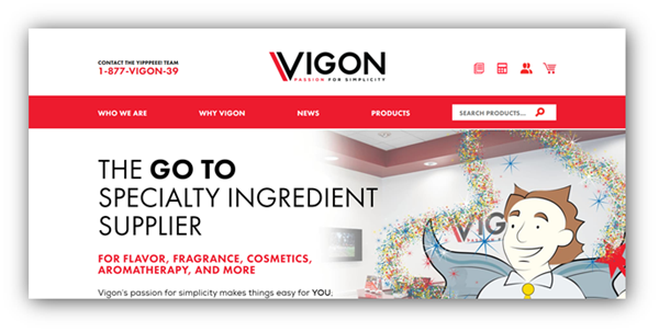 Vigon International